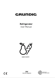 Grundig