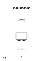 Grundig