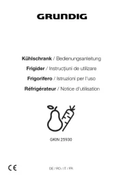 Grundig