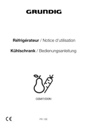 Grundig