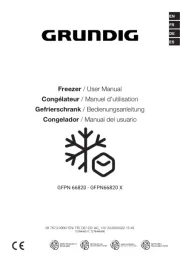 Grundig