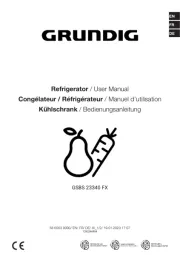 Grundig